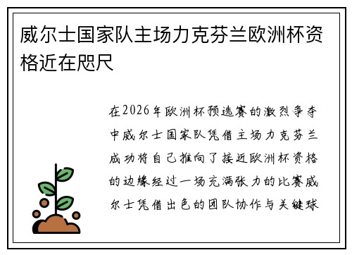 威尔士国家队主场力克芬兰欧洲杯资格近在咫尺 威尔士国家队主场力克芬兰欧洲杯资格近在咫尺